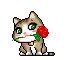 cat rose